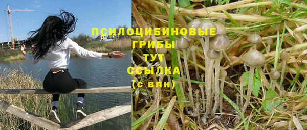 apvp Новодвинск
