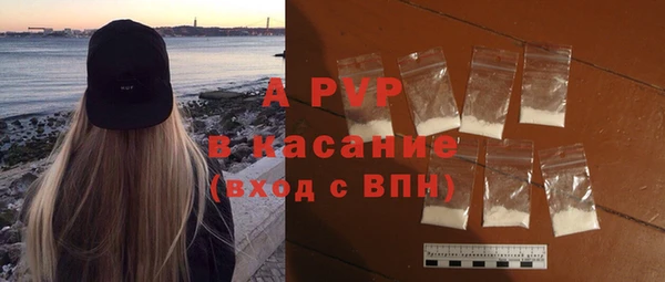 прущие грибы Новокубанск