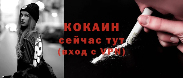 прущие грибы Новокубанск