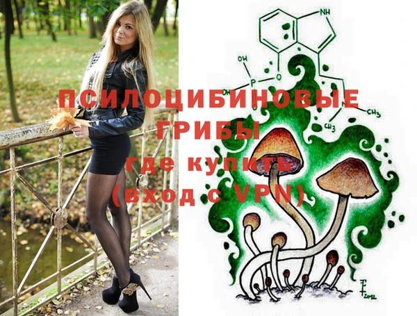 прущие грибы Новокубанск