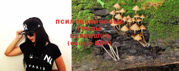 apvp Новодвинск
