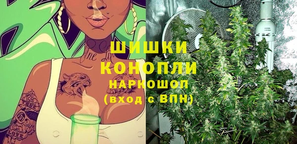 прущие грибы Новокубанск