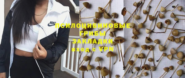 apvp Новодвинск
