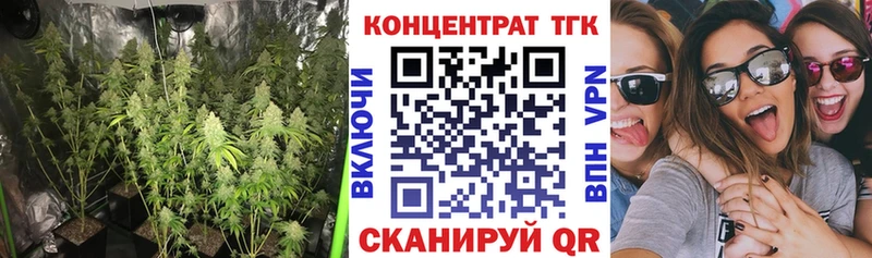 ТГК Wax  mega ссылка  Лермонтов 